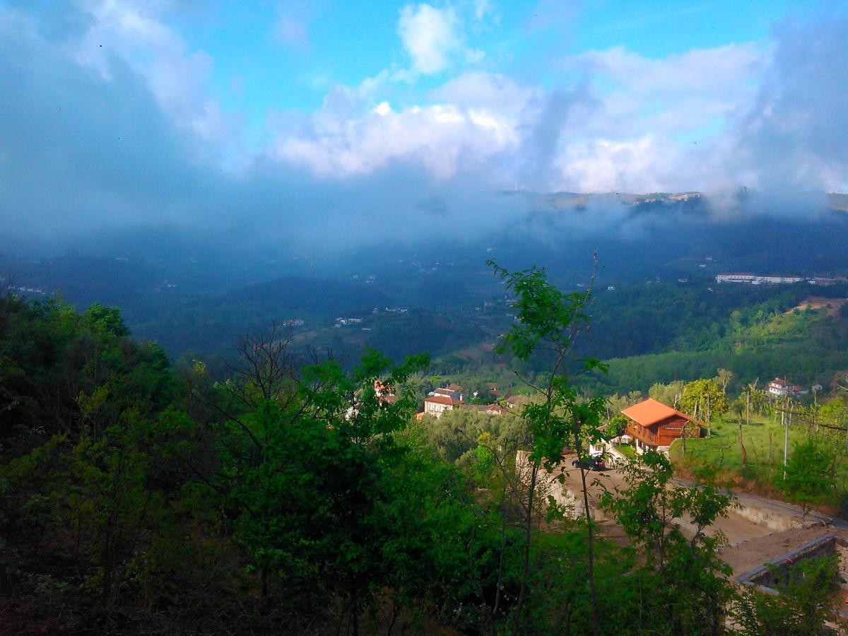 Casa Da Fragoeira * Gandarela de Basto